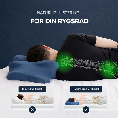 CloudLuxe 2.0™ Ergonomisk Pude