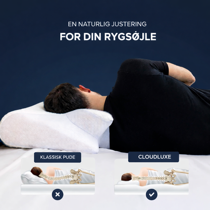 CloudLuxe™ Oreiller Ergonomique