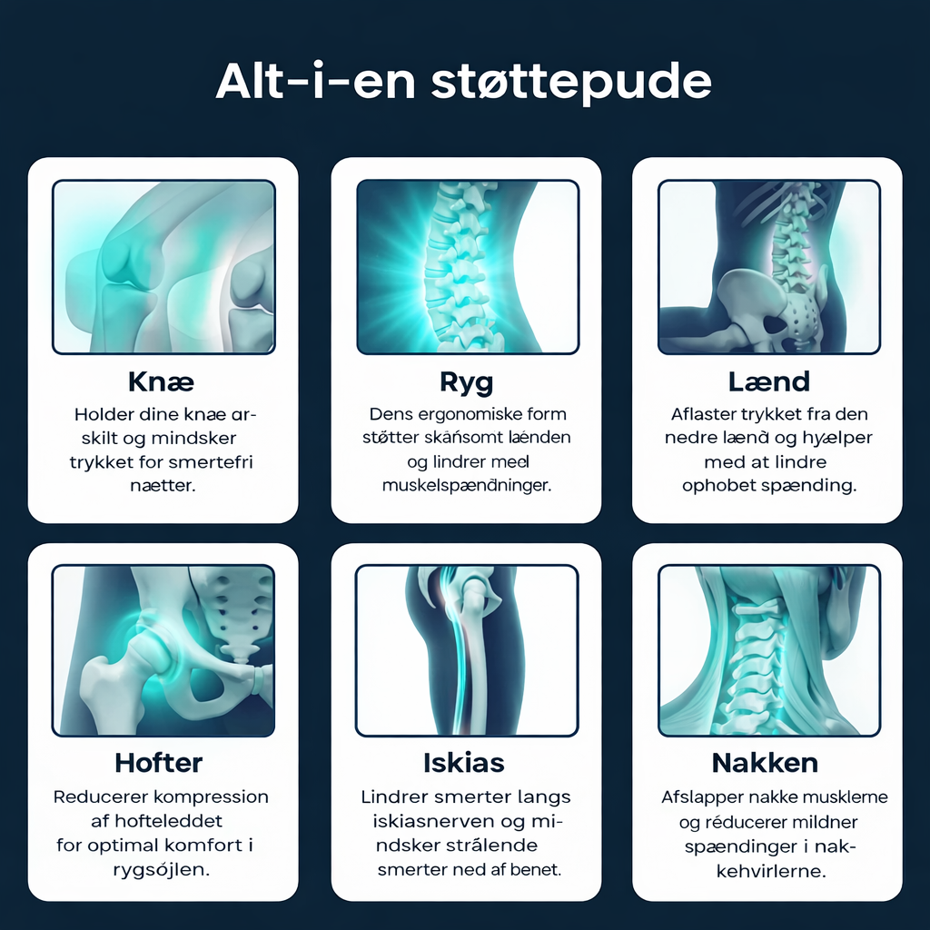 SI-led knæpude